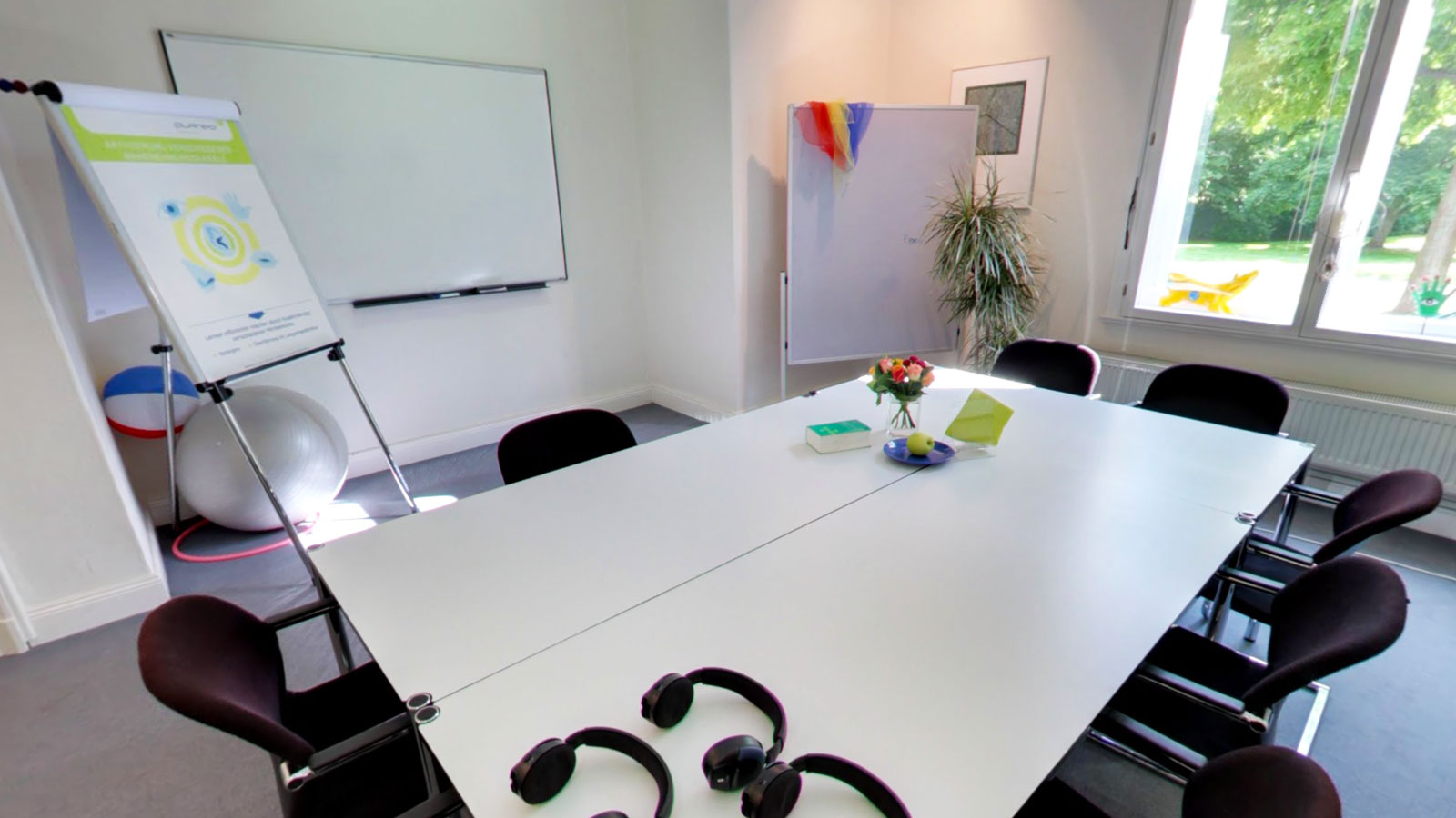 Google Business View